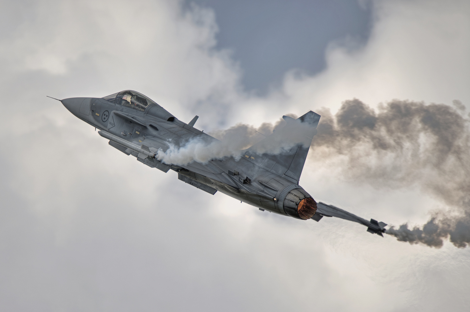 Riat 2014, Swedish Gripen