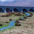 Ribblehead Viaduct