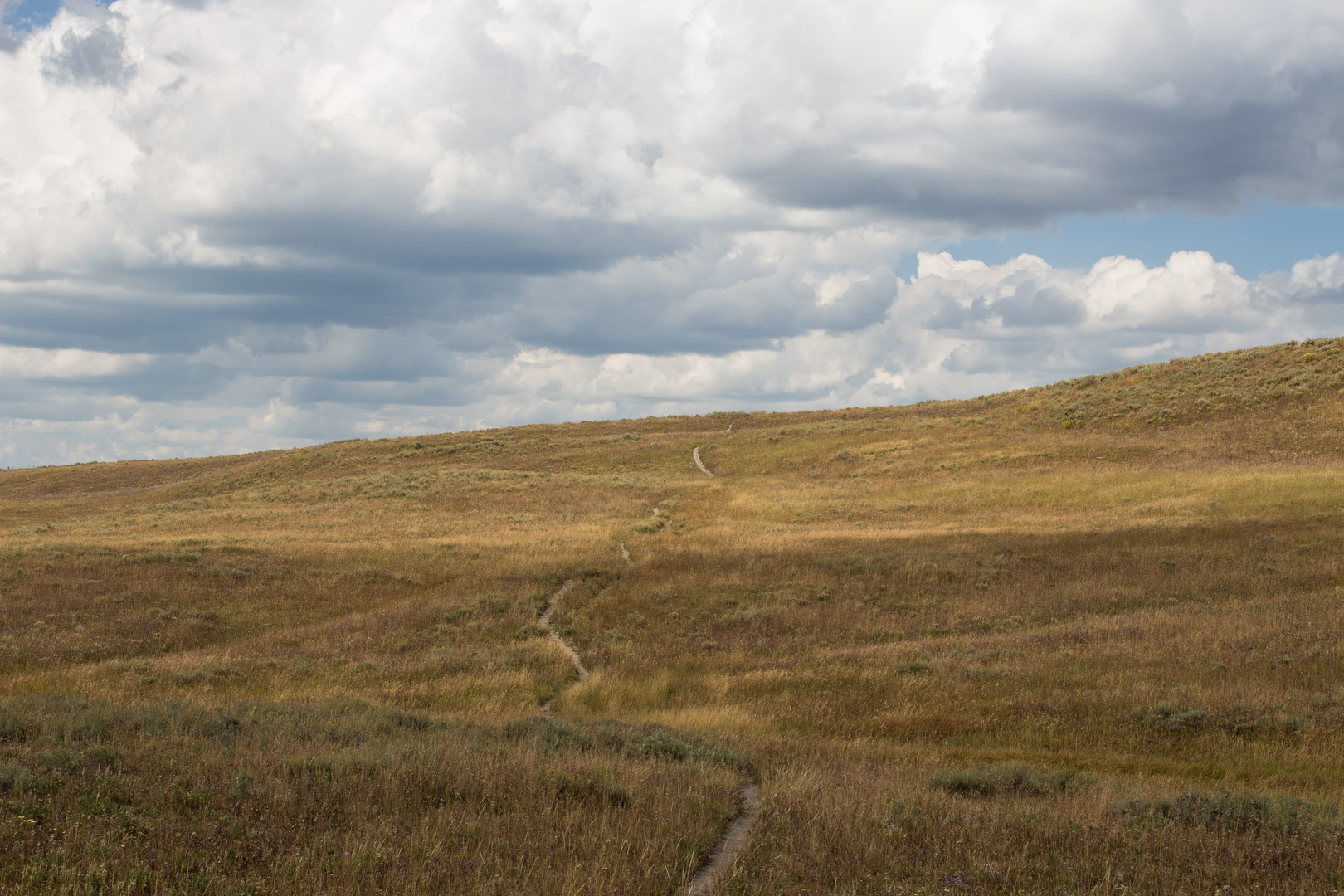 Ribbon Lake Trail