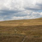 Ribbon Lake Trail