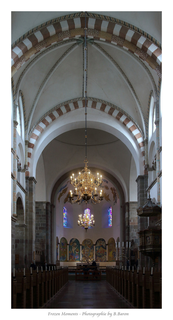 Ribe Domkirke/Der Dom zu Ribe