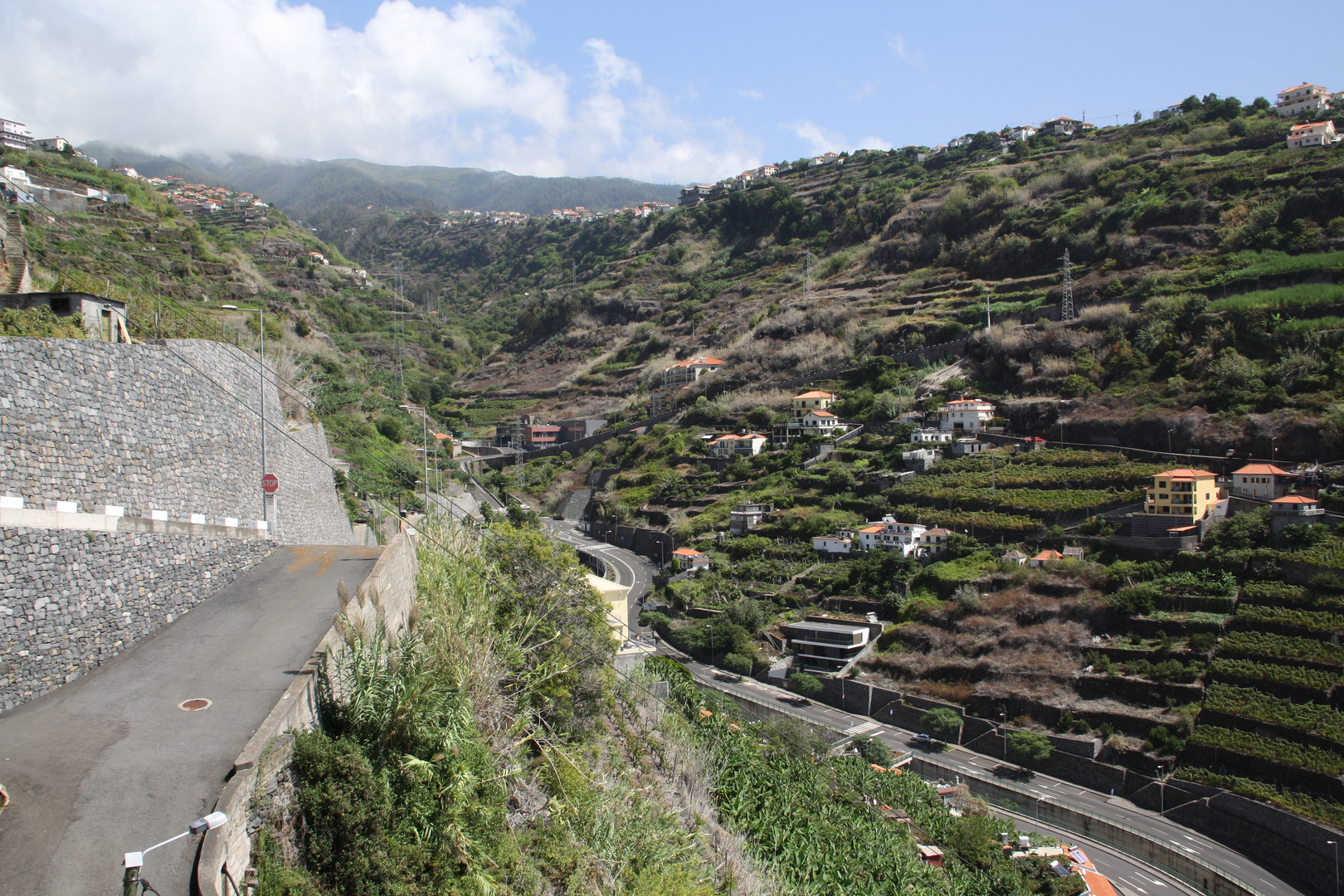 Ribeira Brava