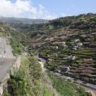 Ribeira Brava