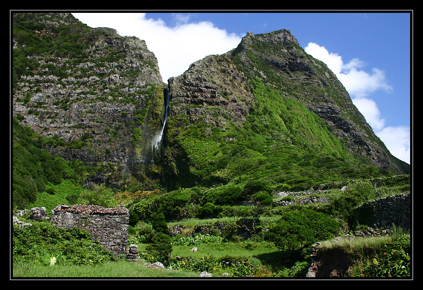 Ribeira das Casas / Flores