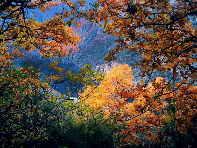 Ribeira sacra