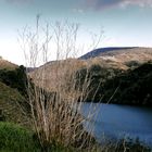 ribeira sacra