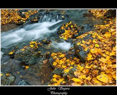 Ribera de Otoño