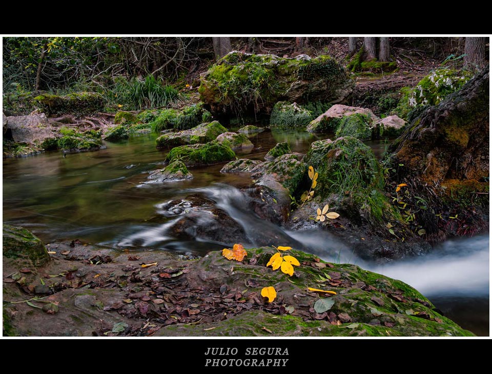 Ribera del Hueznar