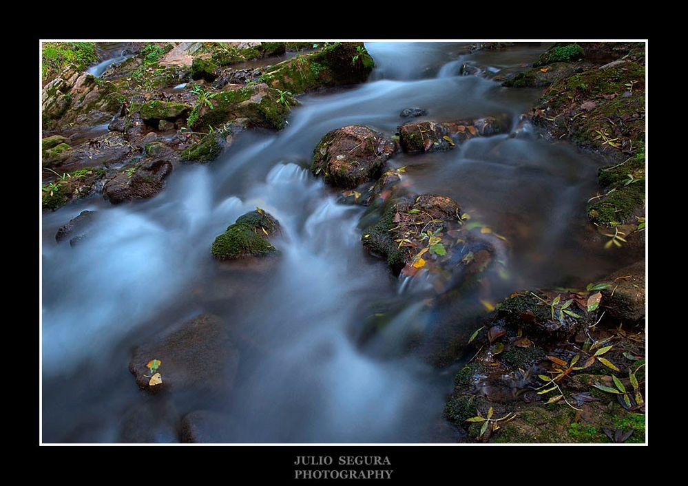 Ribera del Sur Web 2012