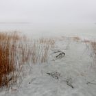 Ribnitzer Bodden im Nebel