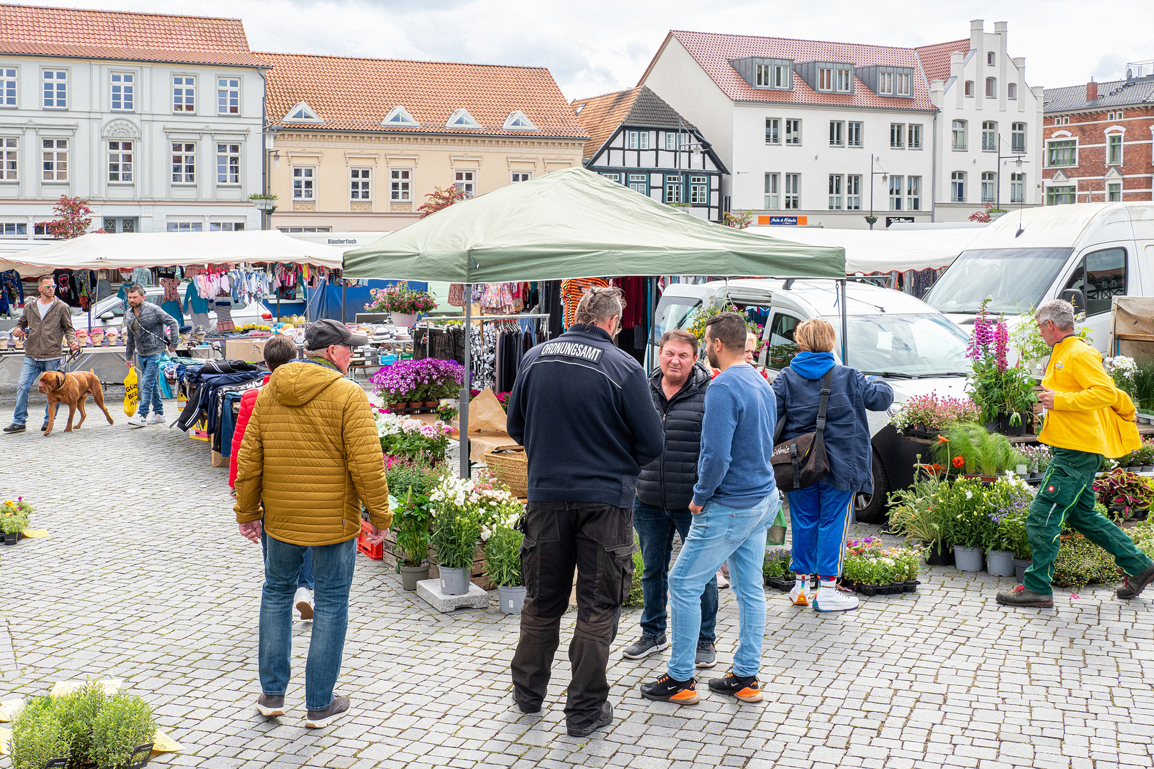 Ribnitzer Wochenmarkt beliebt bei Einheimischen und Gästen