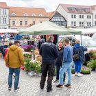 Ribnitzer Wochenmarkt beliebt bei Einheimischen und Gästen