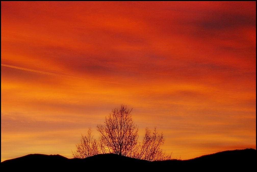 Ricami al tramonto...