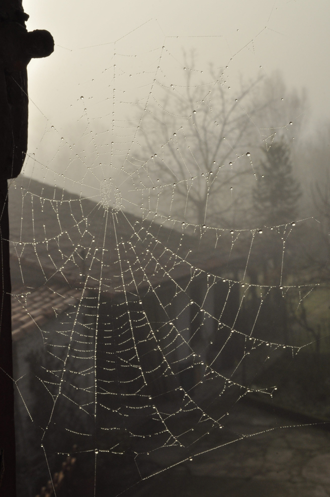 Ricamo nella nebbia