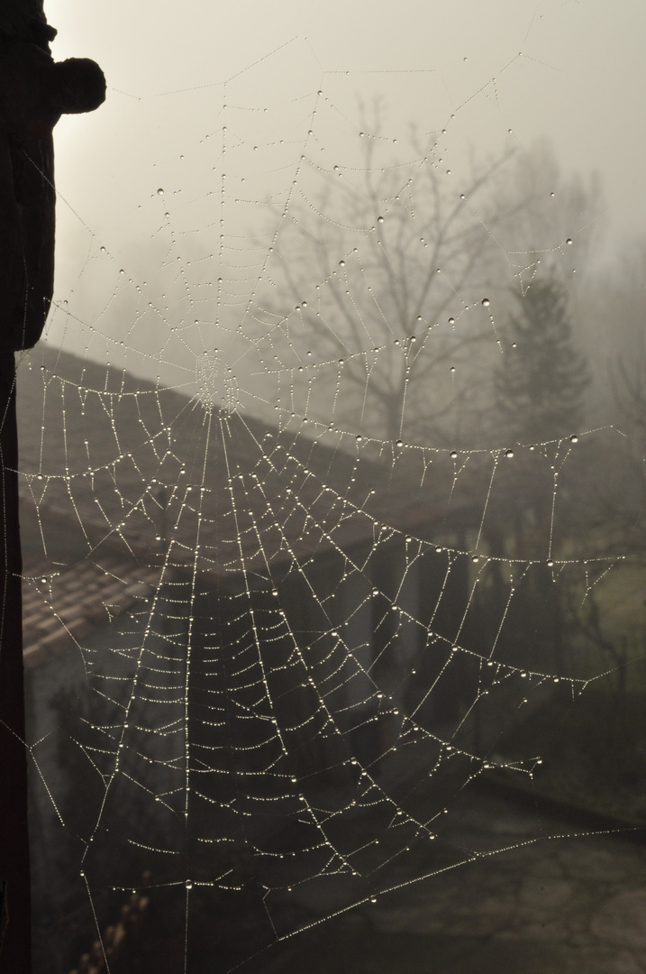 ricamo nella nebbia