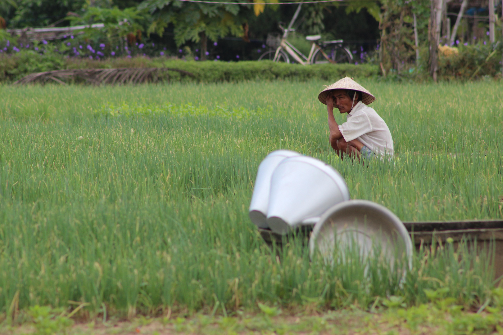Rice farmer - job done