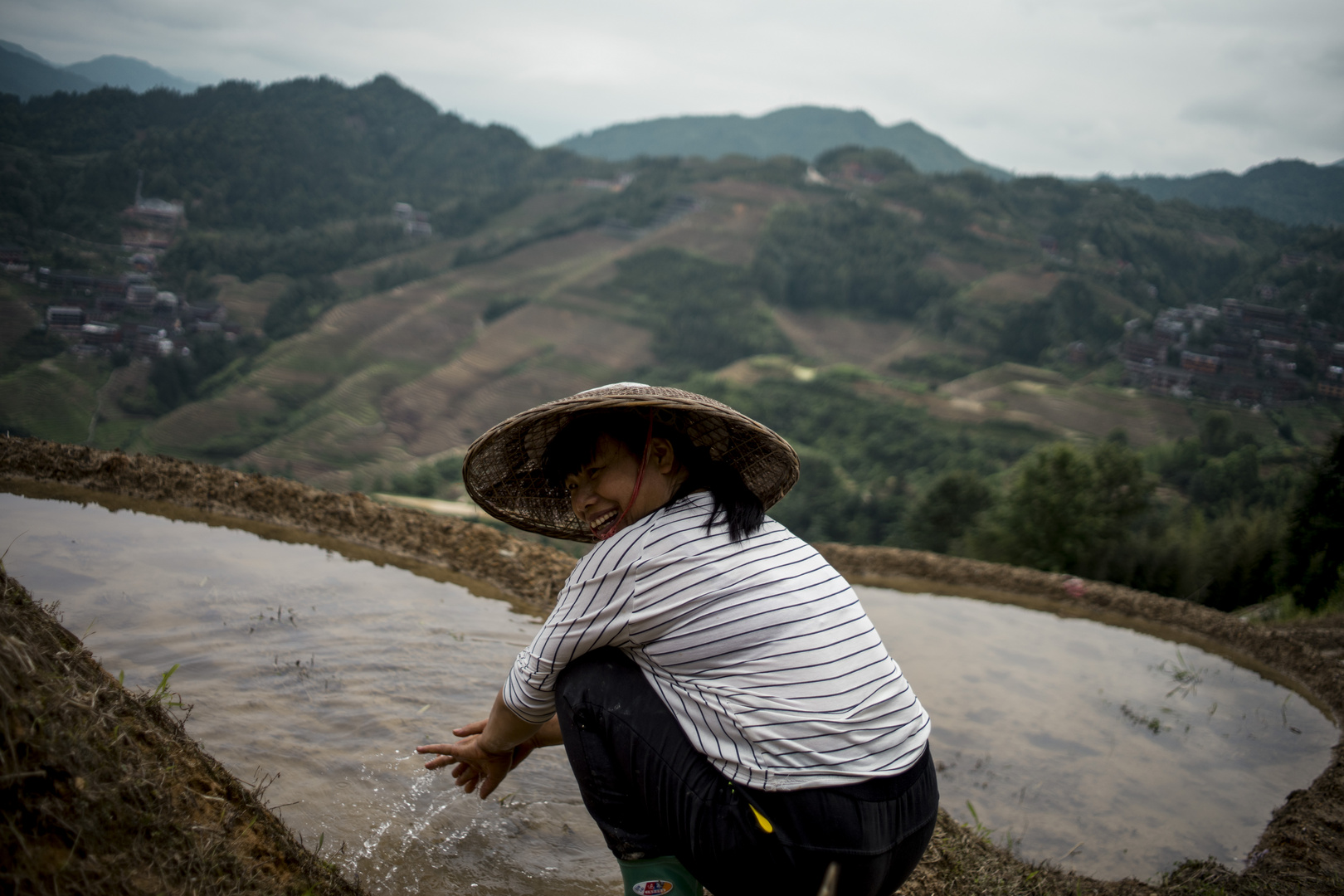 Rice in Guilin 