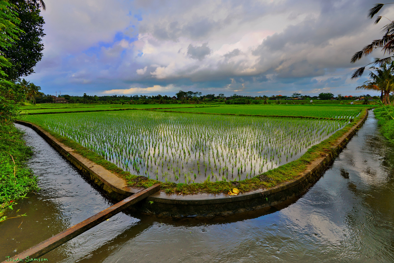 Rice paddies near Lodtunduh