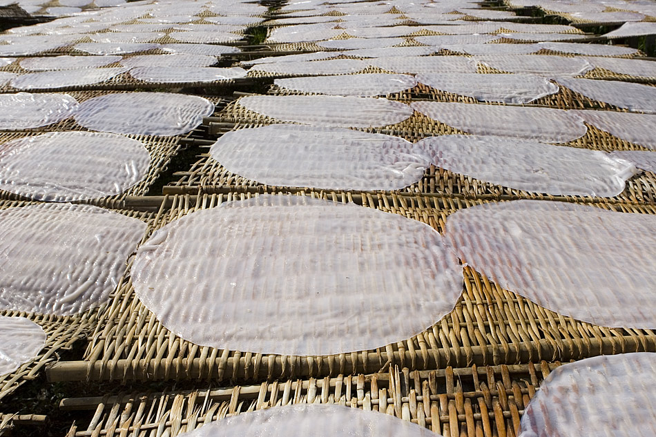 : rice paper :