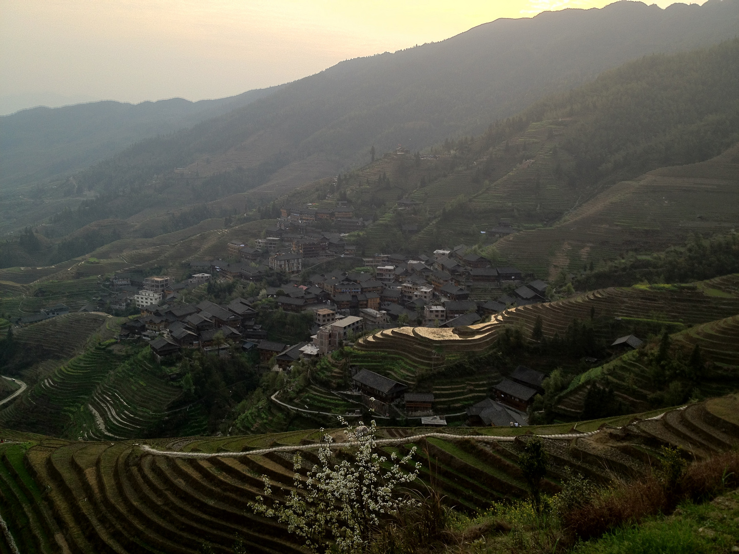 Rice Terrace near Guilin