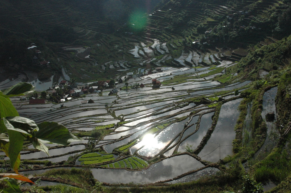 Rice terrace North Luzon Philippines