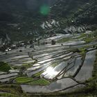 Rice terrace North Luzon Philippines