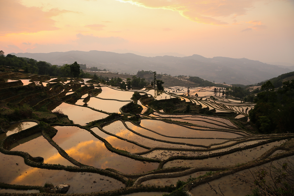 Rice Terrace Sunset