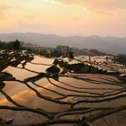 Rice Terrace Sunset