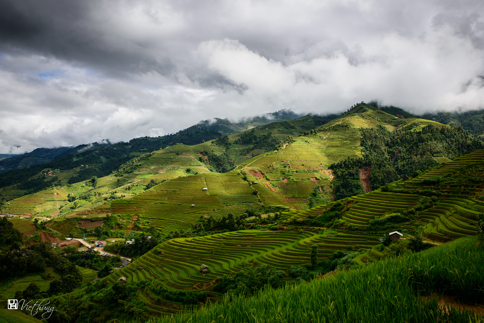 Rice terraces