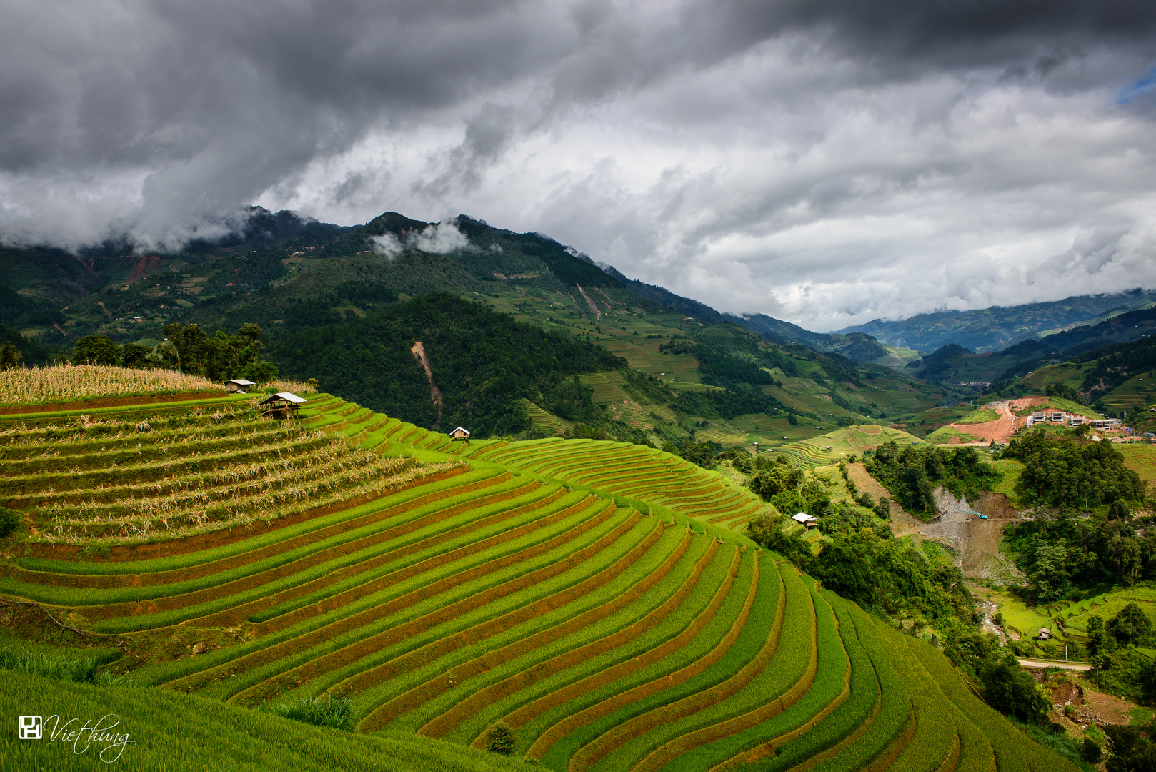 Rice terraces