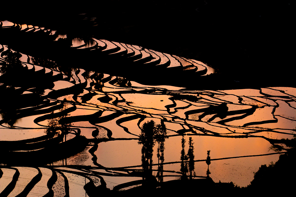 Rice Terraces of Yuanyang - Sunset