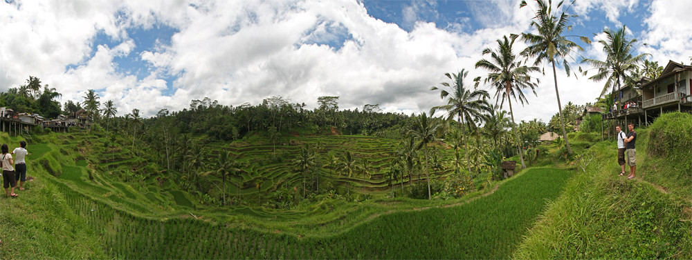 Rice terraces Tegallalang 01