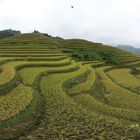 Rice terraces Vietnam - 360* photo Peter Scheid, October 2022