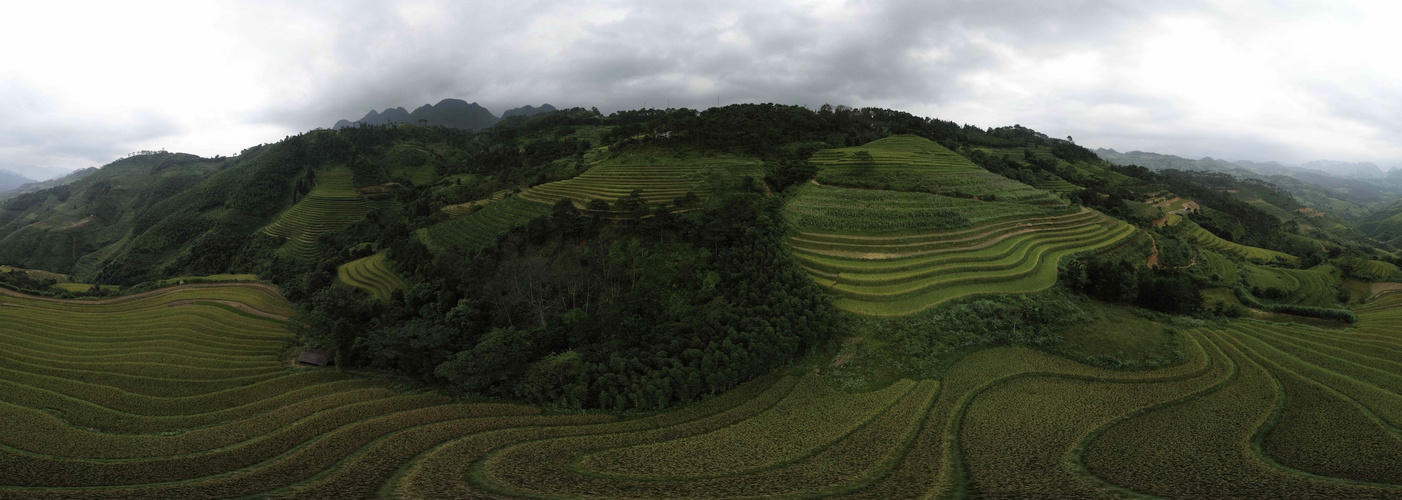 Rice terraces Vietnam - Panorama Vietnam 2022 Photo Peter Scheid