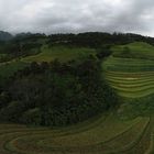 Rice terraces Vietnam - Panorama Vietnam 2022 Photo Peter Scheid