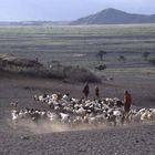 Rich Maasai, Nähe von Oldonyo Lengai