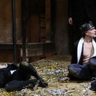 Richard III., Schaubühne Berlin, Februar 2015 ( 2445 )