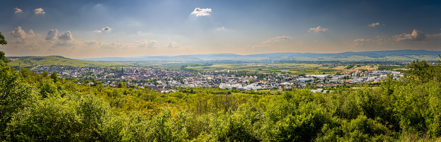 Richardshöhe Gau-Algesheim (1)