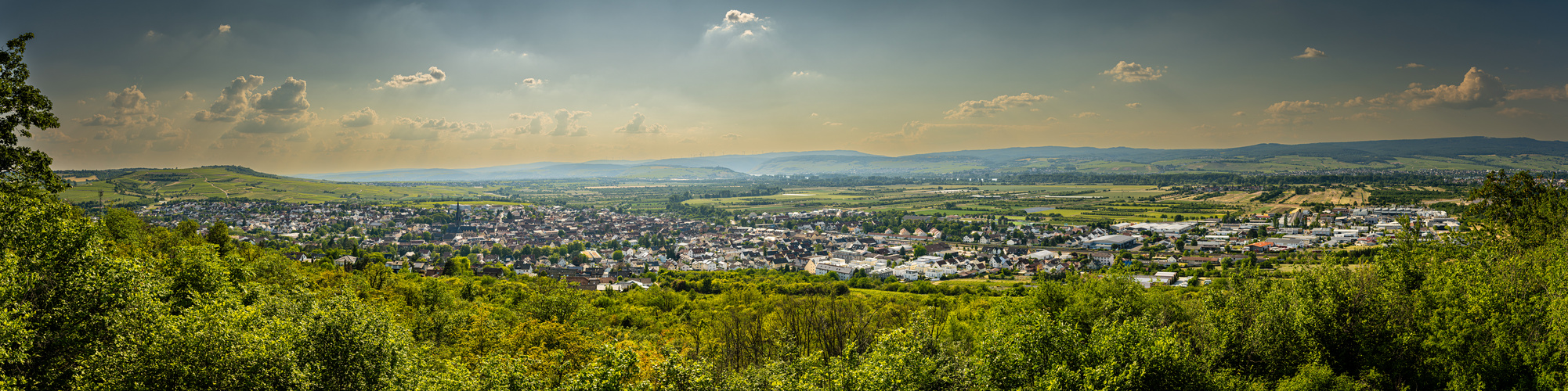 Richardshöhe Gau-Algesheim (2)