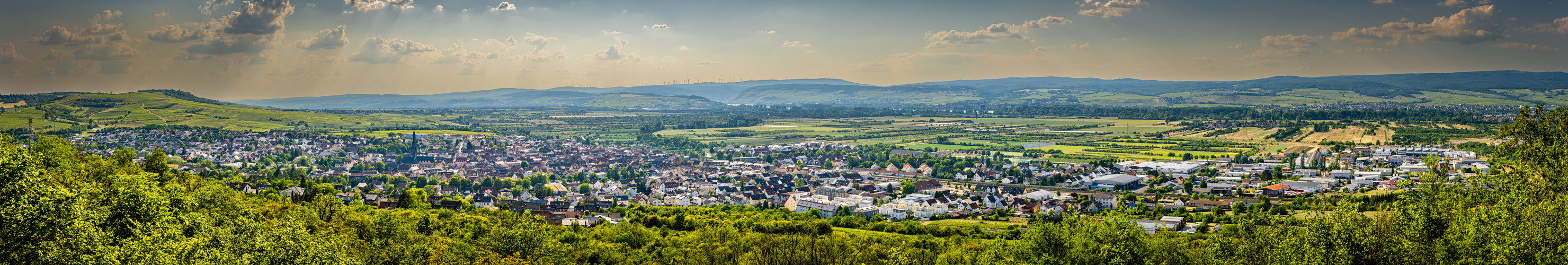 Richardshöhe Gau-Algesheim (4)