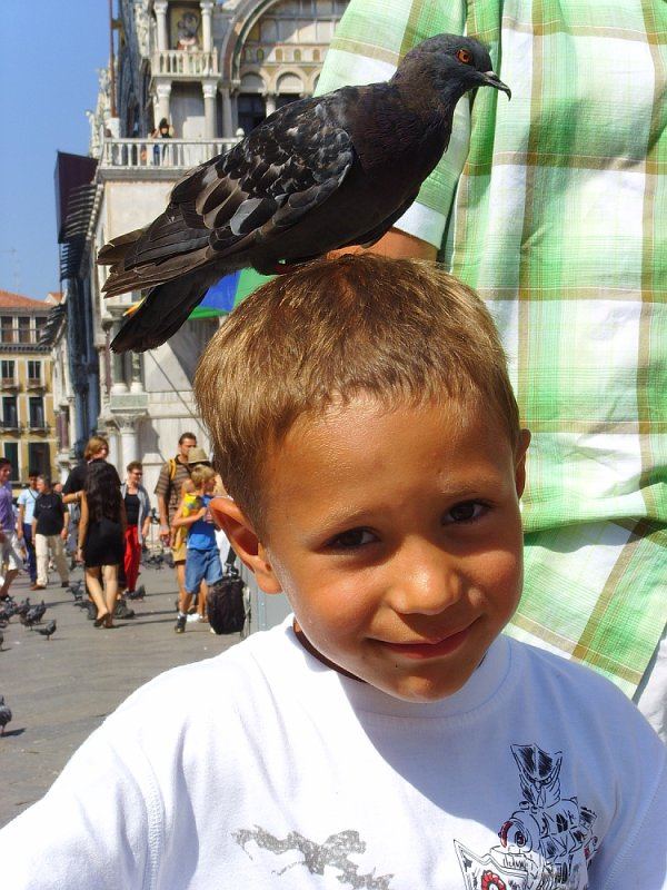 Richie und die Taube - Venedig 2006