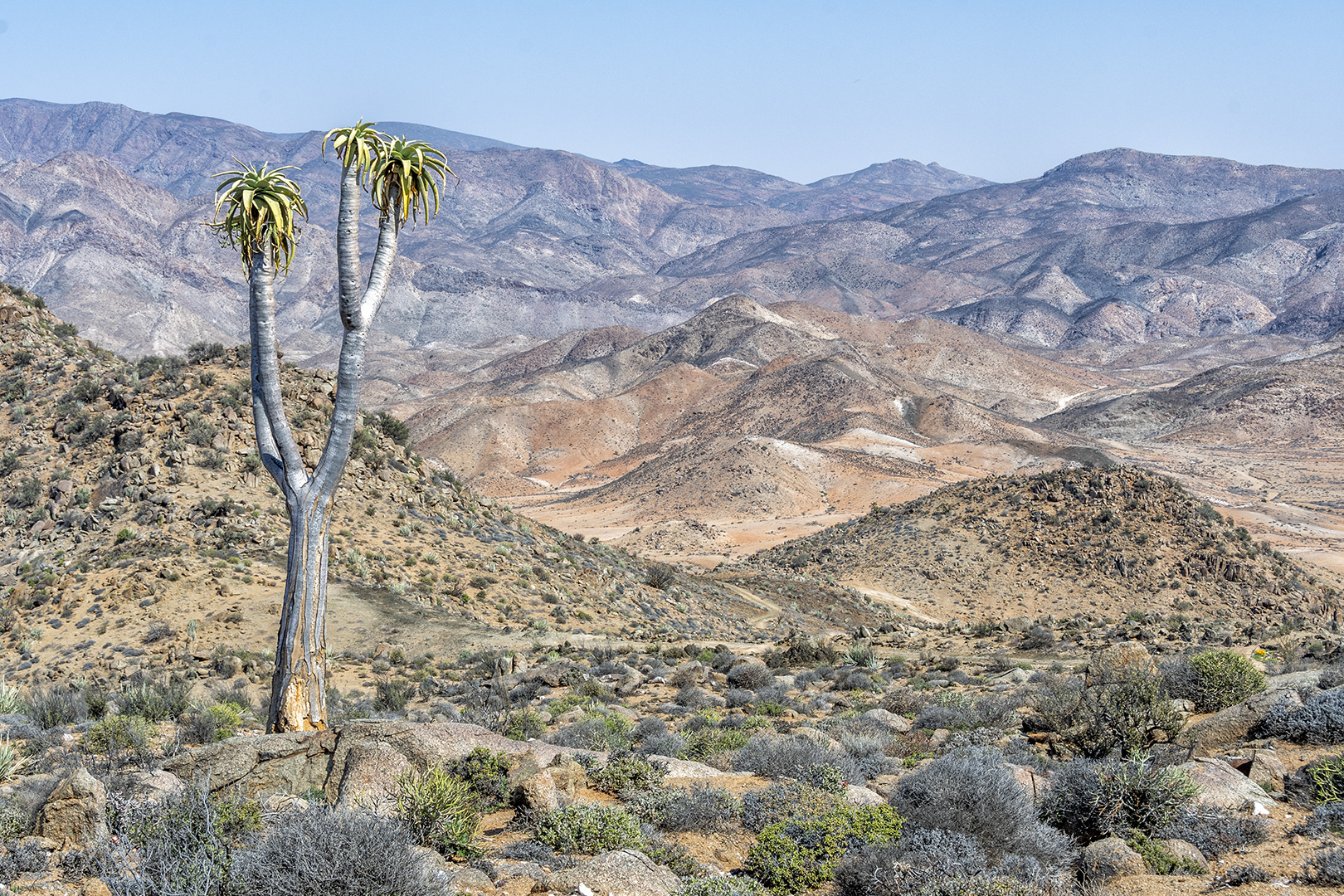 Richtersveld