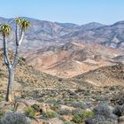 Richtersveld