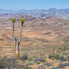 Richtersveld landscape