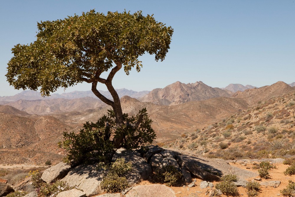 Richtersveld National Park