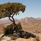 Richtersveld National Park