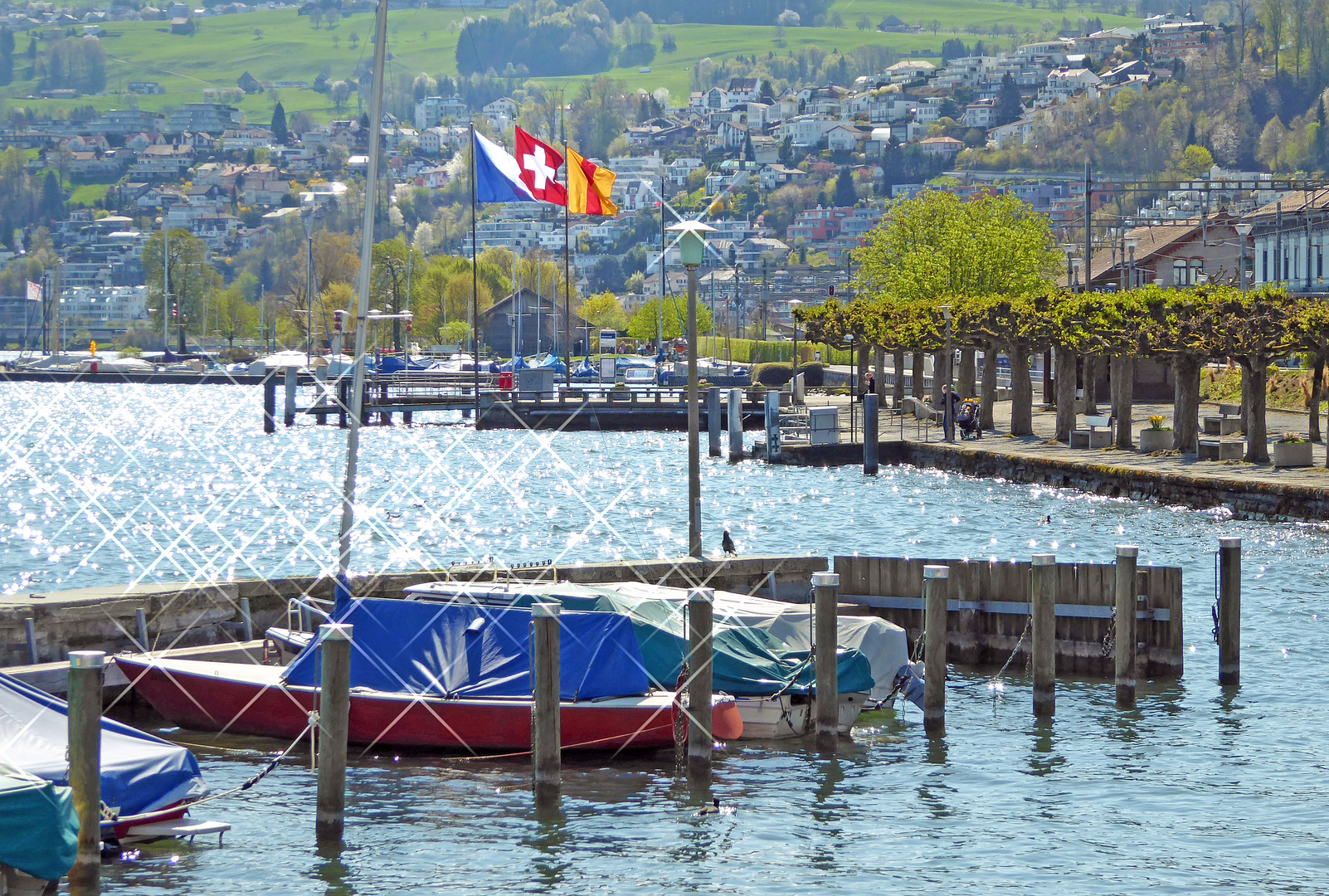 Richterswil, das schönste Dorf am Zürichsee