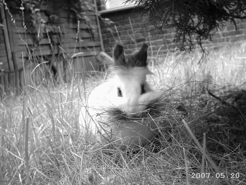 Richtfest war am selben Tag....