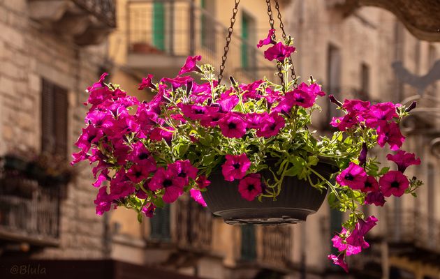 richtig angelacht haben sie mich