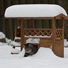 Richtig Schnee vor der Hütte !